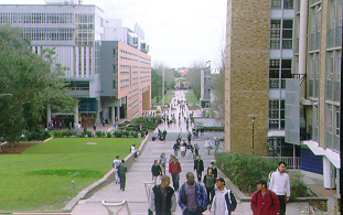 UNSW Mall